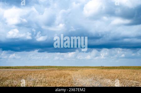 Cieli nuvolosi sopra le praterie aperte delle Everglades della Florida Foto Stock