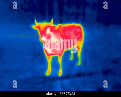 Red Bull su sfondo blu. Immagine modificata dal dispositivo della termocamera. Impressionismo termico Foto Stock