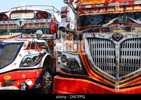 "Chicken Bus". Antigua, Guatemala. Scuolabus americano in pensione ristrutturato nella stazione degli autobus vicino al mercato municipale. Vivace, individualizzato, famoso. Foto Stock