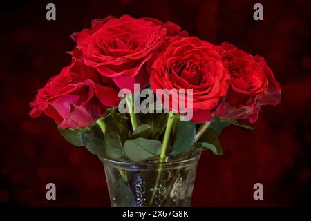 Primo piano di rose rosse in una vinaccia. Sfondo sfocato bokeh. Foto Stock