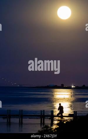 Silhouette di un fotografo al chiaro di luna sul Mar Baltico, Dalby, Danimarca Foto Stock