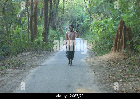 Naogaon, Bangladesh. 13 maggio 2024. Un residente del Parco Nazionale degli Altadighi torna a casa dopo il lavoro nel tardo pomeriggio a Dhamoirhat upazila, nel quartiere Naogaon. (Credit Image: © MD Mehedi Hasan/ZUMA Press Wire) SOLO PER USO EDITORIALE! Non per USO commerciale! Foto Stock