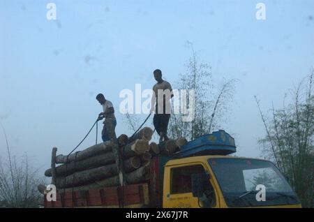 Naogaon, Bangladesh. 13 maggio 2024. I lavoratori caricano alberi di morte in un camion per la consegna vicino a un villaggio di Dhamoirhat del distretto di Naogaon. (Credit Image: © MD Mehedi Hasan/ZUMA Press Wire) SOLO PER USO EDITORIALE! Non per USO commerciale! Foto Stock