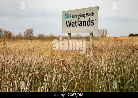 Fort Dodge, Iowa - Whispering Wings Marsh, un'area protetta dell'habitat delle zone umide dove si possono cacciare fagiani e anatre. Foto Stock