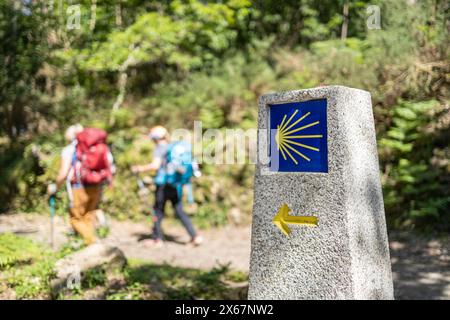 Pellegrini che camminano verso Santiago de Compostela. Simbolo del cammino de Santiago sulla scena forestale Foto Stock