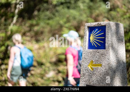 Pellegrini che camminano verso Santiago de Compostela. Simbolo del cammino de Santiago sulla scena forestale Foto Stock