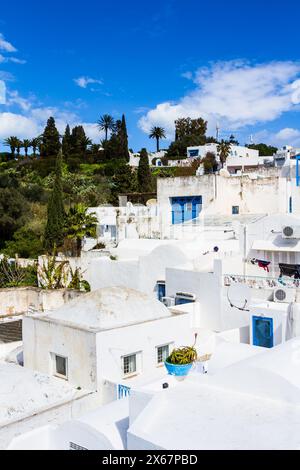 Le tipiche case tradizionali, le terrazze sul tetto. White Madina a Sidi Bou Said vicino a Tunisi. Tunisia, Nord Africa Foto Stock