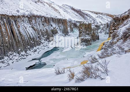 Il ghiacciato canyon di Studlagil in uno splendido paesaggio innevato nell'Islanda orientale Foto Stock