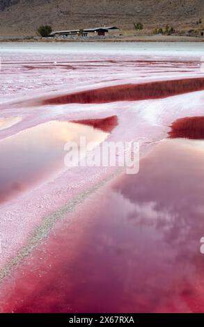 Le restanti piscine di acqua rosa vivida nel lago Maharloo, noto anche come lago rosa, lago salato stagionale ricco di potassio nella provincia di Fars in Iran. Foto Stock