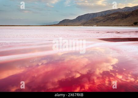 Lago Maharloo, noto anche come lago rosa, lago salato stagionale ricco di potassio, in stagione secca con acqua rosa vivida. Provincia di Fars, Iran. Foto Stock