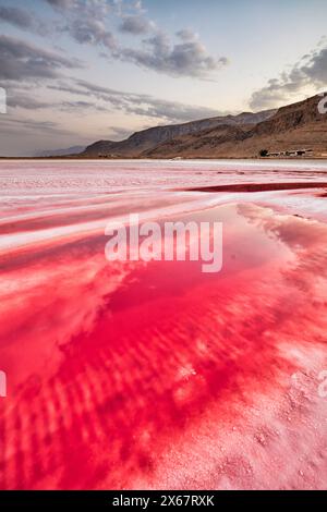 Lago Maharloo, noto anche come lago rosa, lago salato stagionale ricco di potassio, in stagione secca con acqua rosa vivida. Provincia di Fars, Iran. Foto Stock