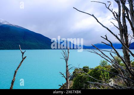 El Calafate, Patagonia, Argentina, Lago Argentino presso il ghiacciaio Perito Moreno nel Parco Nazionale Los Glaciares. Foto Stock