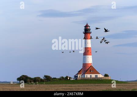 Faro di Westerheversand, oche volanti, luce serale, penisola di Eiderstedt, Schleswig-Holstein Wadden Sea National Park, Germania, Schleswig-Holstein, costa del Mare del Nord Foto Stock