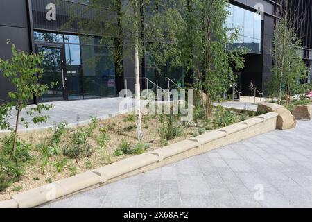 Pounds Park Sheffield City Center Inghilterra Regno Unito, verde della città interna piante giardino pubblico ambiente urbano sostenibilità biodiversità Foto Stock