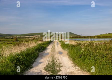 Un sentiero attraverso la campagna del Sussex, in un giorno di maggio suny Foto Stock
