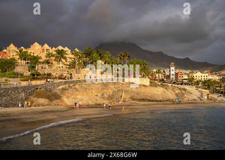 La spiaggia Playa del Duque, Costa Adeje, Tenerife, Isole Canarie, Spagna Foto Stock