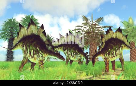 Stegosaurus era un blindato dinosauro erbivoro che visse in Nord America durante il Giurassico. Foto Stock