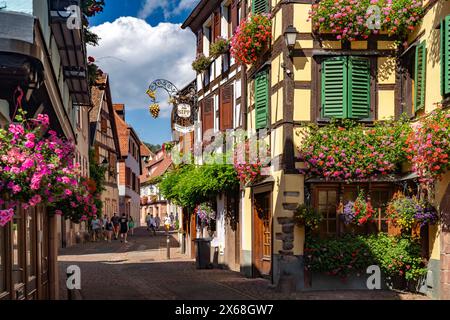 Decorazioni floreali colorate nella città vecchia di Ribeauville, Alsazia, Francia Foto Stock