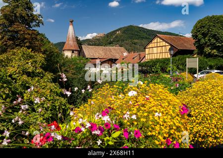 Composizioni floreali colorate a Ribeauville, Alsazia, Francia Foto Stock