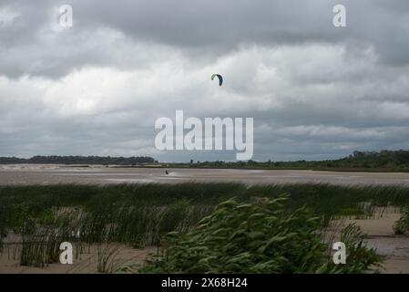 Un aquilone sta volando nel cielo sopra una spiaggia. Il cielo è nuvoloso e la spiaggia è piena di erba alta Foto Stock