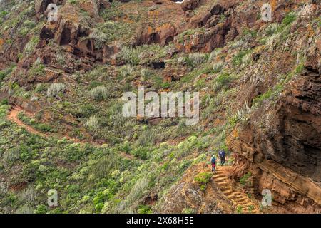 Escursionisti lungo il tragitto da Punta del Hidalgo a Chinamada, Tenerife, Isole Canarie, Spagna Foto Stock
