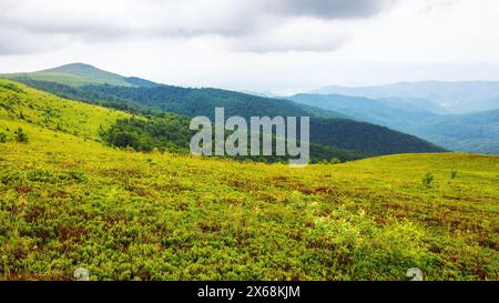 paesaggio ondulato di polonina liscia in una giornata nuvolosa in estate. prati alpini erbosi e colline boscose dei carpazi. paesaggio di perechyn Foto Stock