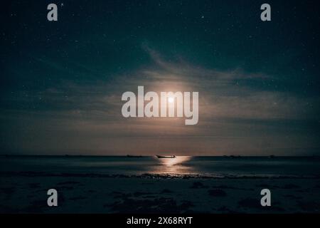 Spiaggia illuminata dalla luna con palme sotto il cielo stellato a Tulum Foto Stock