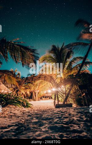 Spiaggia illuminata dalla luna con palme sotto il cielo stellato a Tulum Foto Stock