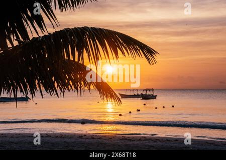 Tramonto sulla spiaggia di Tulum con la silhouette di palme pendenti. Foto Stock