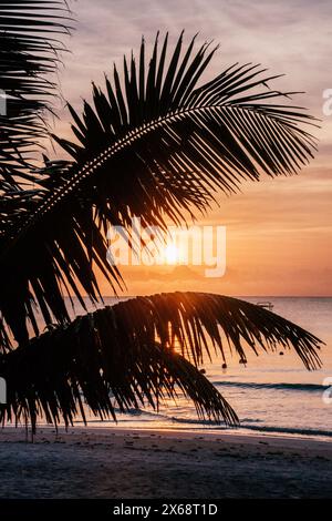 Tramonto sulla spiaggia di Tulum con la silhouette di palme pendenti. Foto Stock