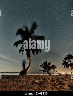 Spiaggia illuminata dalla luna con palme sotto il cielo stellato a Tulum Foto Stock