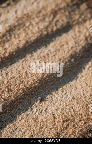 Primo piano di sabbia ondulata nel deserto del Sahara vicino all'oasi di Siwa, in Egitto Foto Stock