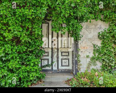 Ingresso coperto con porta in legno del vacante Salon Weirauch nel centro della località turistica di Zingst, disabitata e ora ricoperta di viti selvatiche e edera, foglie autunnali a terra, Zingst, Meclemburgo-Vorpommern, Germania Foto Stock