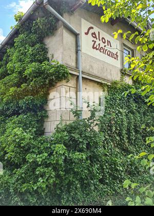 Il vacante edificio Salon Weirauch nel centro della località turistica di Zingst è disabitato e ora ricoperto di vigneti selvatici e edera, Zingst, Meclemburgo-Vorpommern, Germania Foto Stock