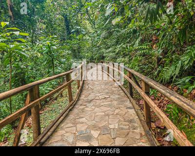 Jardin Botaniqu de Deshaies, giardino botanico con flora e fauna auf Guadalupa, Caraibi, Antille francesi Foto Stock