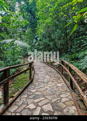 Jardin Botaniqu de Deshaies, giardino botanico con flora e fauna auf Guadalupa, Caraibi, Antille francesi Foto Stock