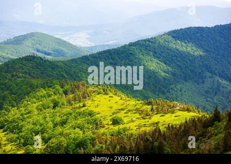 paesaggio montuoso dei carpazi dell'ucraina con colline boscose in estate. vista dal monte pikui Foto Stock
