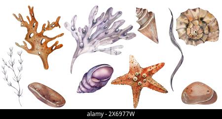 Set di acquerelli con tema marino. Coralli, conchiglie, alghe, stelle marine. Elemento per cartoline, poster, opuscoli, Logo di agenzie di viaggio, accessori per la spiaggia Foto Stock