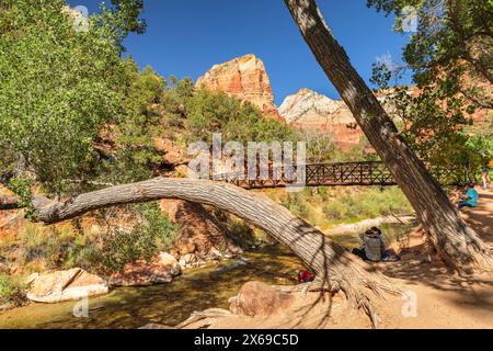 Vista sul fiume Virgin fino alla vetta di Angel's Landing, allo Zion National Park, al Colorado Plateau, Utah, Stati Uniti Foto Stock