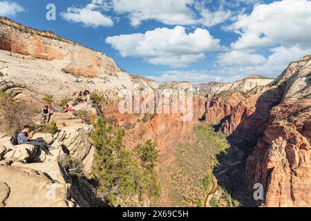 Vista dello Zion Canyon da Angels Landing, Zion National Park, Colorado Plateau, Utah, Stati Uniti Foto Stock