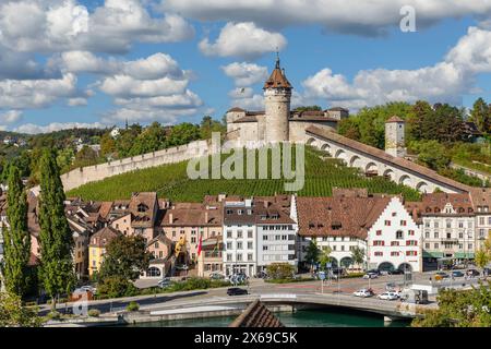 Vista sulla città vecchia fino alla fortezza di Munot, Sciaffusa, Svizzera Foto Stock