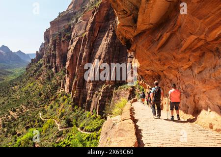 Escursionisti sull'Angels Landing Trail, Zion National Park, Colorado Plateau, Utah, Stati Uniti Foto Stock