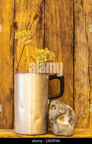 Natura morta semplice, piante con fagioli e jetsam, decorazione del giardino Foto Stock