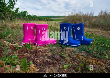 Stivali in gomma rosa e blu con uva e un bellissimo vigneto verde. Stile country. Foto Stock