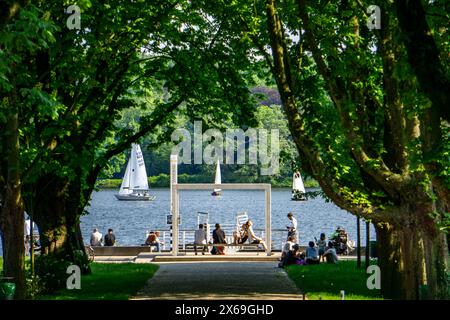 Der Baldeneysee a Essen, Baumallee am Seaside Beach, Anlegestelle der Weißen flotte, Strandbad, Segelboote, NRW, Deutschland, Baldeneysee *** Lago Baldeney a Essen, viale alberato a Seaside Beach, molo della flotta Bianca, lido, barche a vela, RW, Germania, lago Baldeney Foto Stock