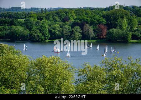 Segelboote auf dem Baldeneysee a Essen, NRW, Deutschland, Baldeneysee *** barche a vela sul Lago Baldeney a Essen, NRW, Germania, Lago Baldeney Foto Stock