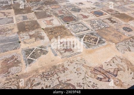 Resti di pavimenti a mosaico di antiche ville romane a Cartagine Foto Stock