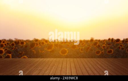 Campo di girasole e tavolo di legno vuoto all'alba, design striscione Foto Stock