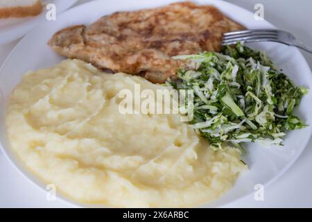 Una deliziosa colazione o pranzo con purè di patate, tritare con insalata - cipolle verdi e cavolo verde giovane, prezzemolo sul piatto bianco. Foto Stock