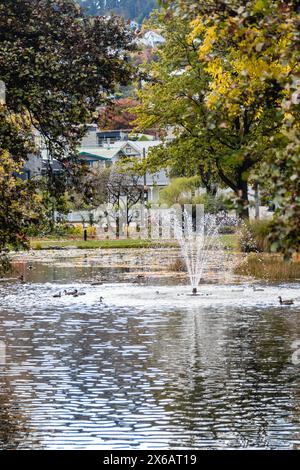 Laghetto e fontana in autunno ai Queenstown Botanical Gardens, nuova Zelanda. Foto Stock